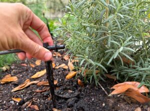 How To Install a Drip Irrigation System